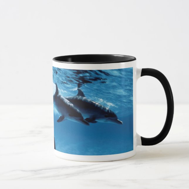 Mug Trio de dauphins (Droite)