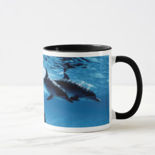 Mug Trio de Dolphins