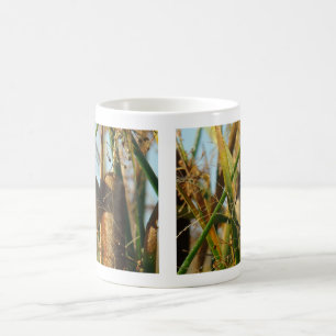 Mug Troglodyte des marais B3