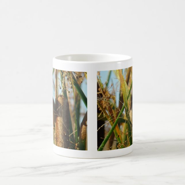 Mug Troglodyte des marais B3 (Centre)