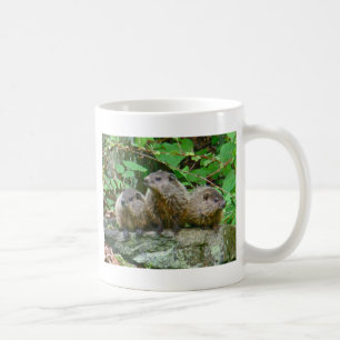 Mug Trois bébés marmottes