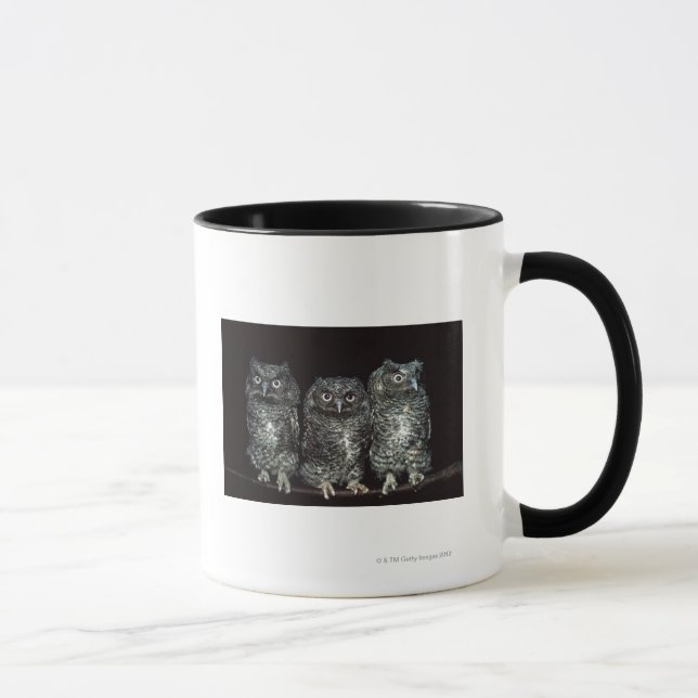 Mug trois hiboux (Droite)
