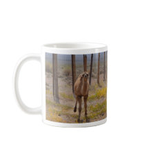 Trois jeunes chameaux