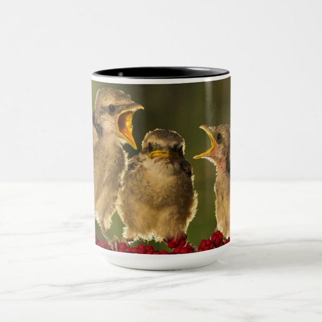 Mug Trois oiseaux de Schach de Lanius de bébé (Centre)