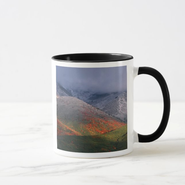 Mug Trois saisons de feuillage, érables rouges et auto (Droite)