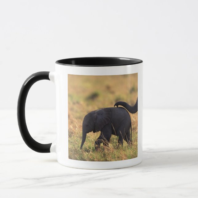 Mug Tronc de progéniture émouvante d'éléphant, Kenya, (Gauche)