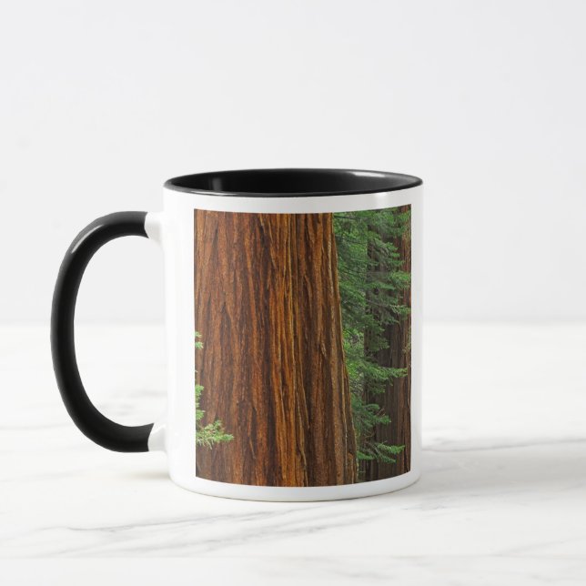 Mug Troncs géants de Sequoia en forêt, Yosemite (Gauche)