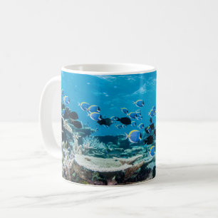 Mug Tropical Beaches   Sturgeon Amongst Coral