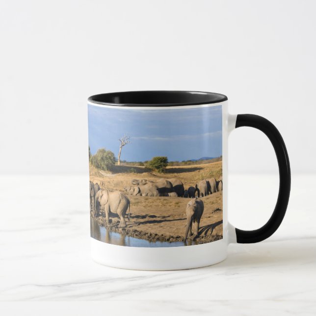 Mug Troupeau d'Éléphant de Savane d'Afrique (Loxodonta (Droite)