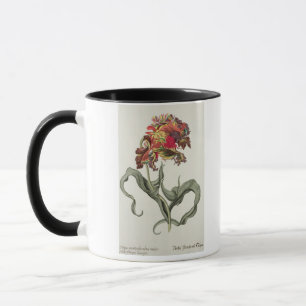 Mug Tulipa Monstrosa Rubra Maior de 'Phythanthoza IC