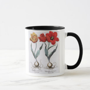 Mug Tulipes : colore de cinnabrio de serotina du