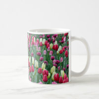 Tulipes colorées de ressort