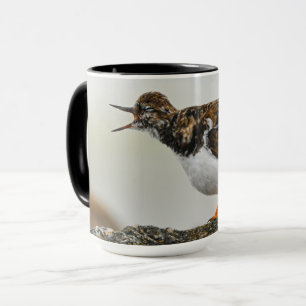Mug Turnstone Georgia Photographie de mignonne Dramati