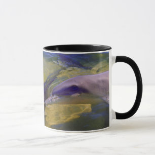 MUG TURSIOPS ADUNCUS