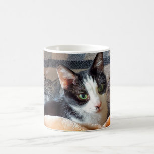 Mug Tuxedo