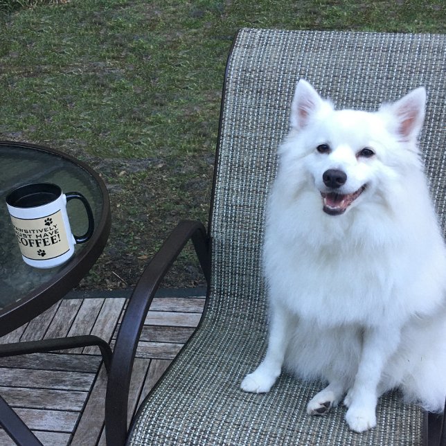 Mug Typographie de patte de chien amateur de café mign (Dog Paw Typography Coffee Lover's Cute Specialty Mug)