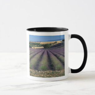Mug UE, France, Provence, champs de lavande 2