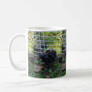 Mug Un bébé Silkie