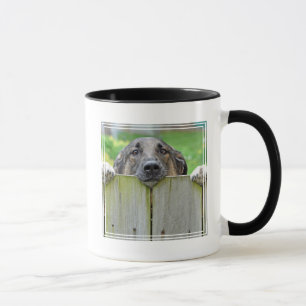 Mug Un berger allemand regarde la clôture