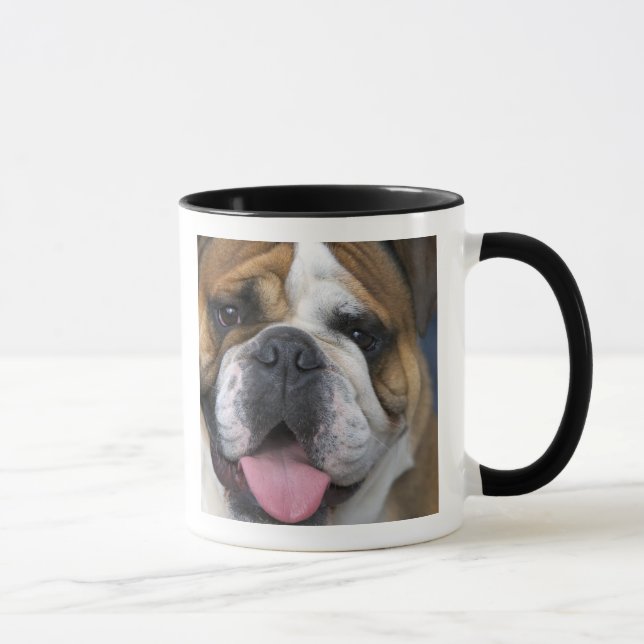 Mug Un bouledogue anglais en Belgique. (Droite)