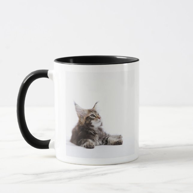 Mug Un chaton de chat de ragondin du Maine (Gauche)