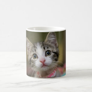 Mug Un chaton mignon aux yeux verts