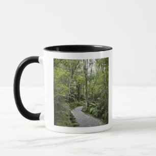 Mug Un chemin à travers une forêt tropicale à la ba