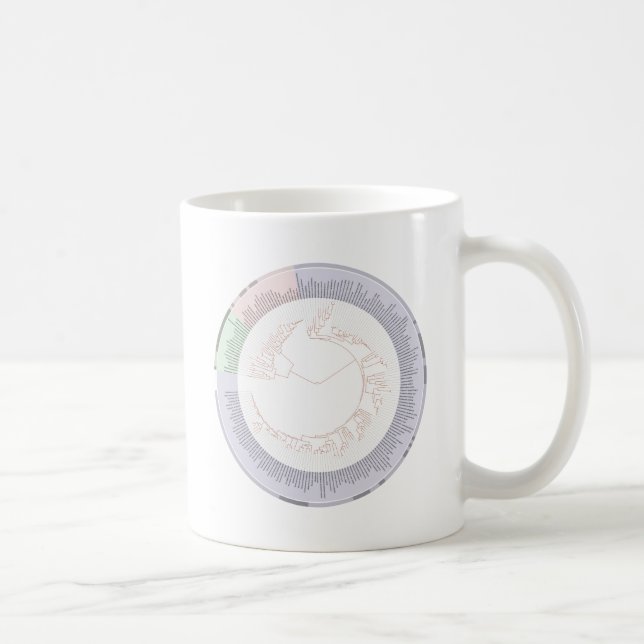 Mug Un diagramme de l'arbre phylogénétique de la vie (Droite)