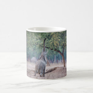 Mug Un éléphant pour l'acia