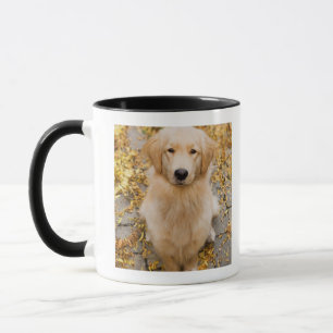 Mug Un golden retriever d'ans, portrait