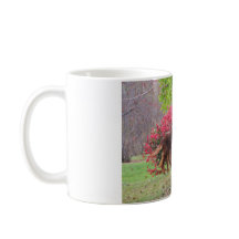 Un gouvernement Bush en feu