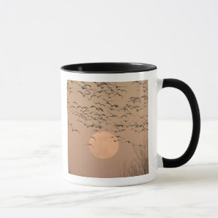 Mug Un groupe d'oies des neiges migratrices, Grus