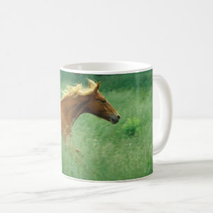 Mug Un Jeune Stallion Traverse Le Milieu