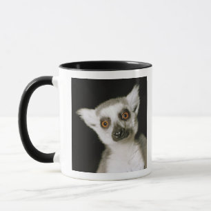 Mug Un lemur.