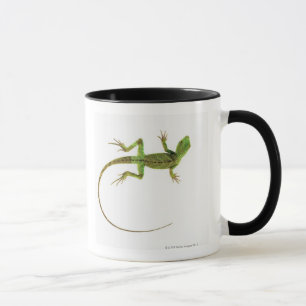 Mug Un lézard sur la terre blanche pure