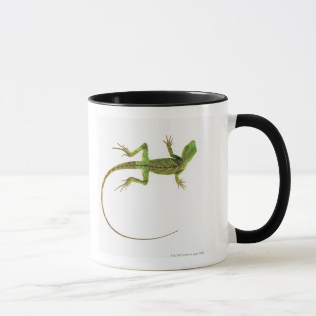 Mug Un lézard sur la terre blanche pure (Droite)