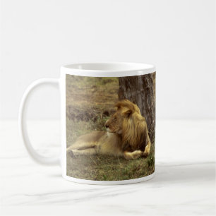Mug Un lion africain mâle qui s'allonge sous une boue 