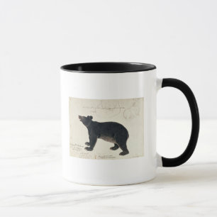 Mug Un ours noir asiatique, "Ursus Tibetanus "