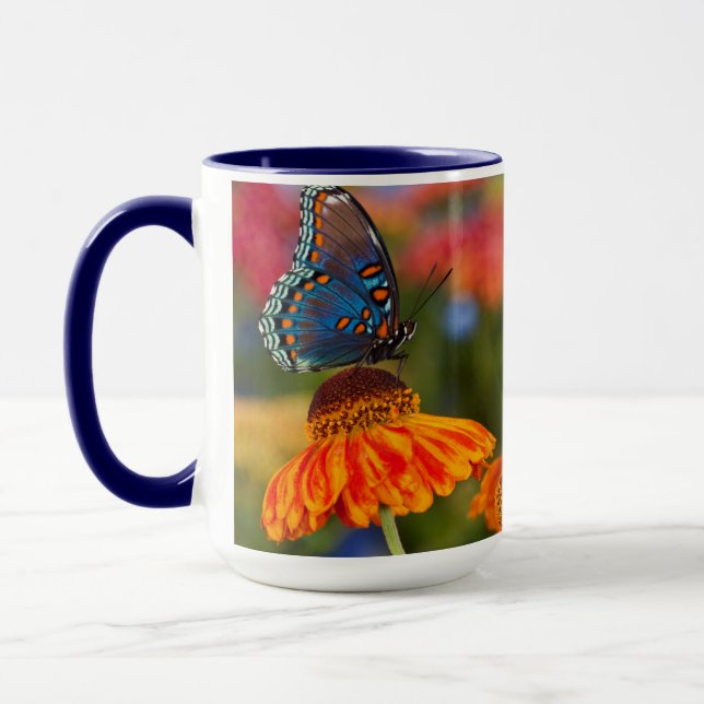 Mug Un Papilio troilus, Papilio troilus (Gauche)