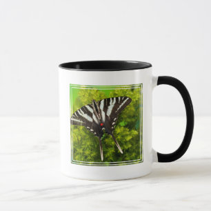 Mug Un papillon porte-queue nord-américain