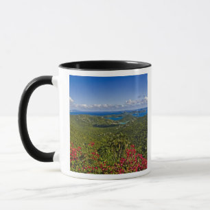 Mug Un paysage de Cruse Bay, St. John Îles Vierges amé