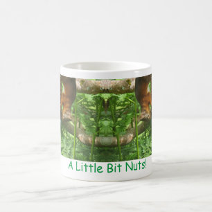 Mug "Un Petit Peu De Noix", Des Écureuils Rouges À L'A