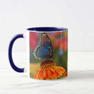 Mug Un Spicebush Swallowtail, Papilio troilus