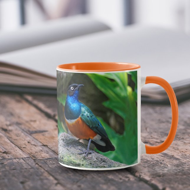 Mug Un Superbe Songbird Starling Africain (Stunning African Superb Starling on the Rock 11 oz Coffee Mug Cover Photo.)