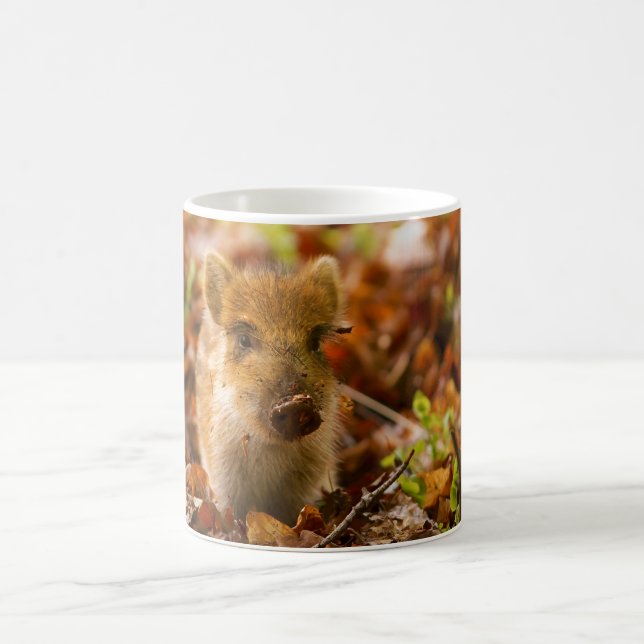 Mug Un Sus Scrofa de porcelet de sanglier dans le (Centre)