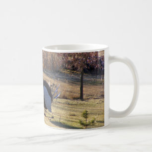 Mug Un vieil oiseau dur