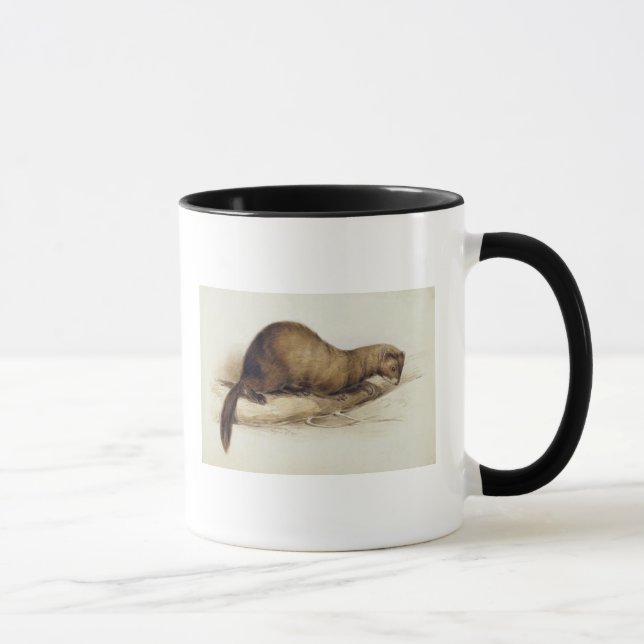 Mug Une belette, 1832 (la semaine, ove de stylo, (Droite)