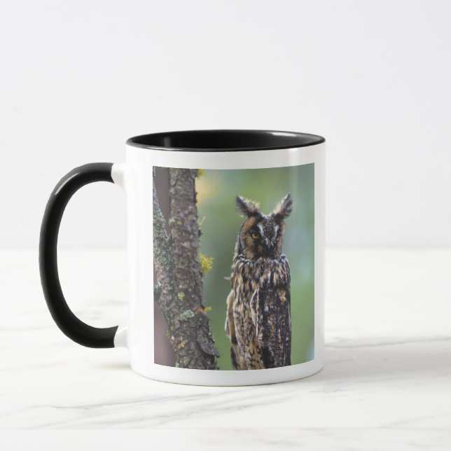 Mug Une chouette effraie perchée sur une branche d'arb (Gauche)
