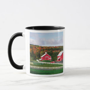 Mug Une ferme dans le Vermont près de Peacham. DISPONI