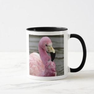 Mug Une photo captive d'un Flamant des Andes